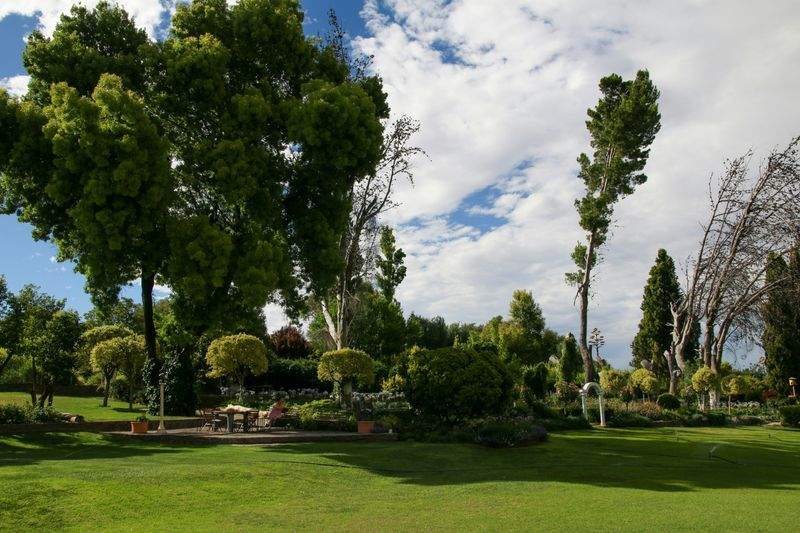 Designing a Spring Garden That Feels Alive All Season