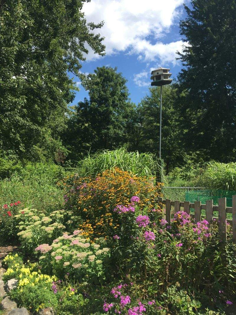 Low-Maintenance Landscaping Ideas for Busy Homeowners