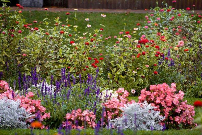 Maple Bloom Garden Design 1