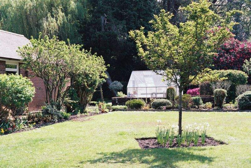 Maple Bloom Garden Design 11
