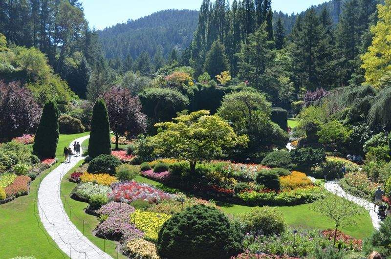 Maple Bloom Garden Design 4